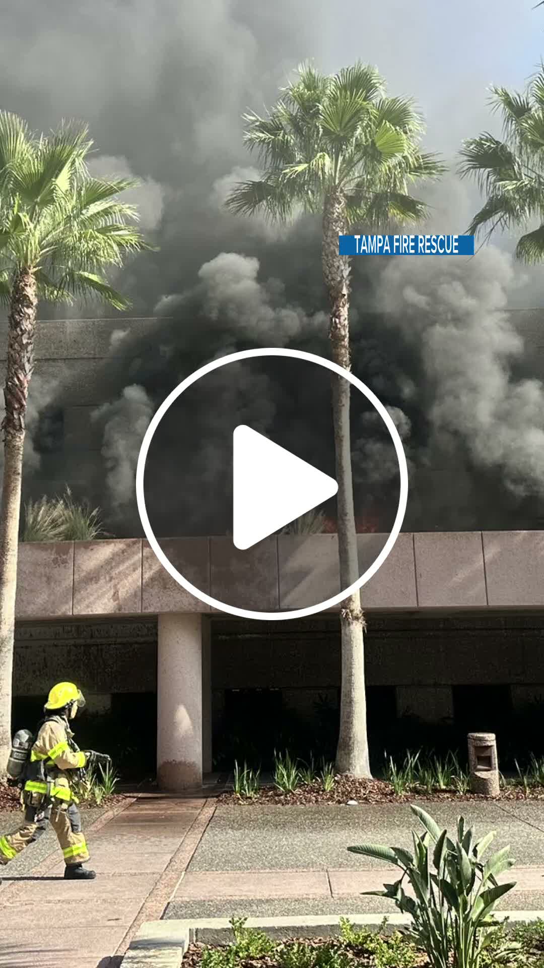 Several cars caught fire at the Grand Hyatt Hotel in Tampa - NewsBreak