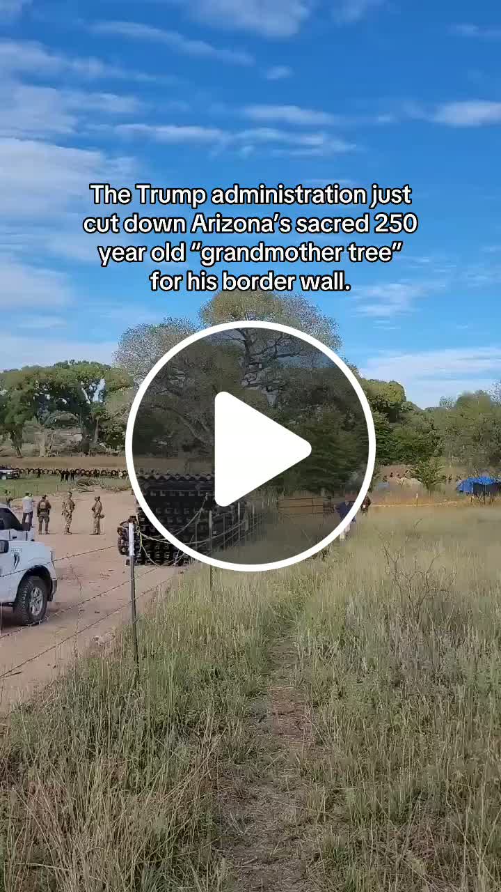 The Trump administration just cut down Arizona's sacred 250 year old ...